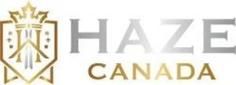 Haze Automotive 768x277